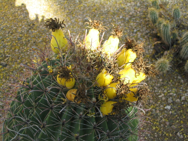 618x457 pixels (249K)